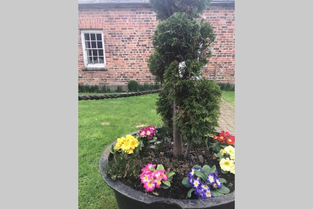 The Tack Room Cottage - Wells House & Gardens Wexford Exterior foto